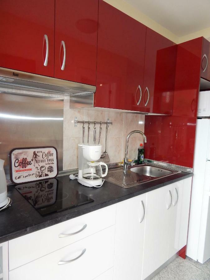 Apartamento Monis Natura Icod De Los Vinos Exteriör bild